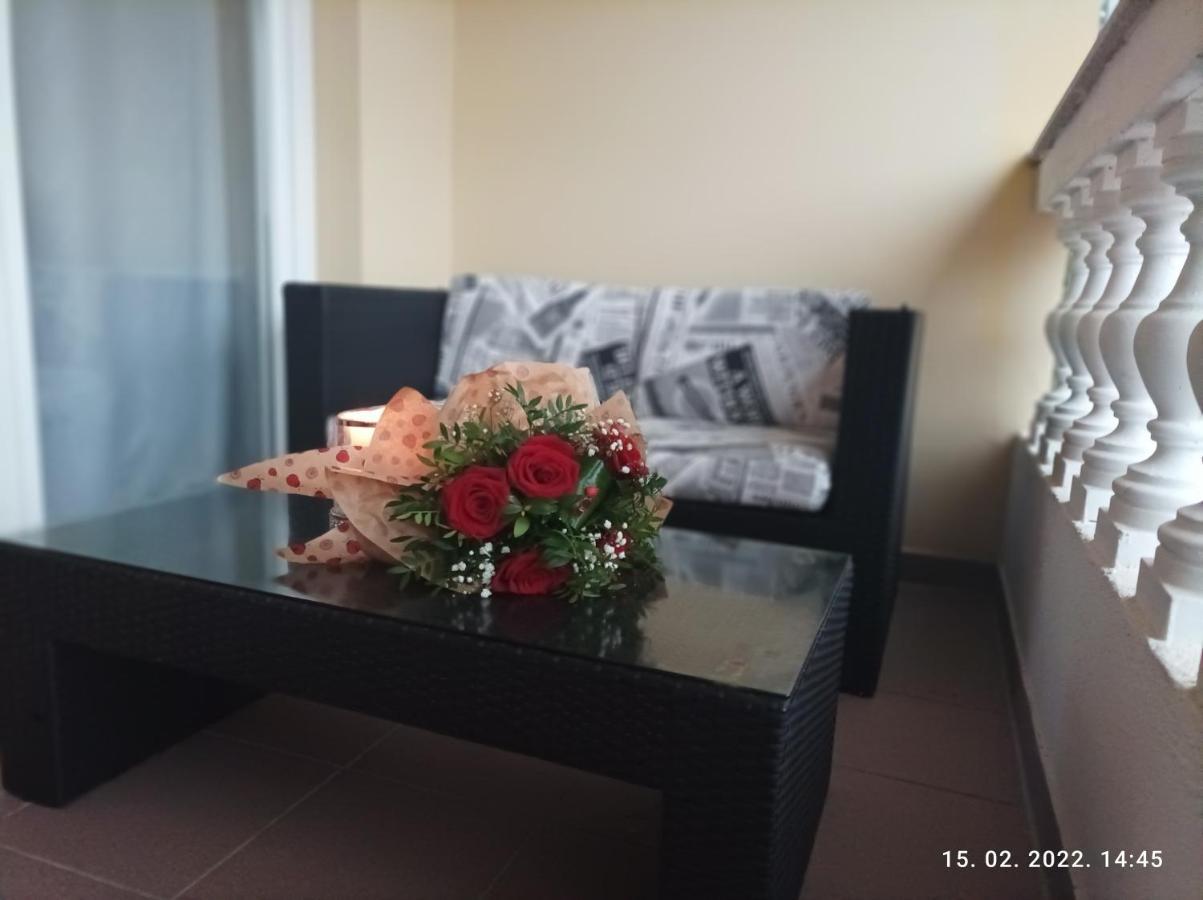 Palma Guesthouse Palit 외부 사진